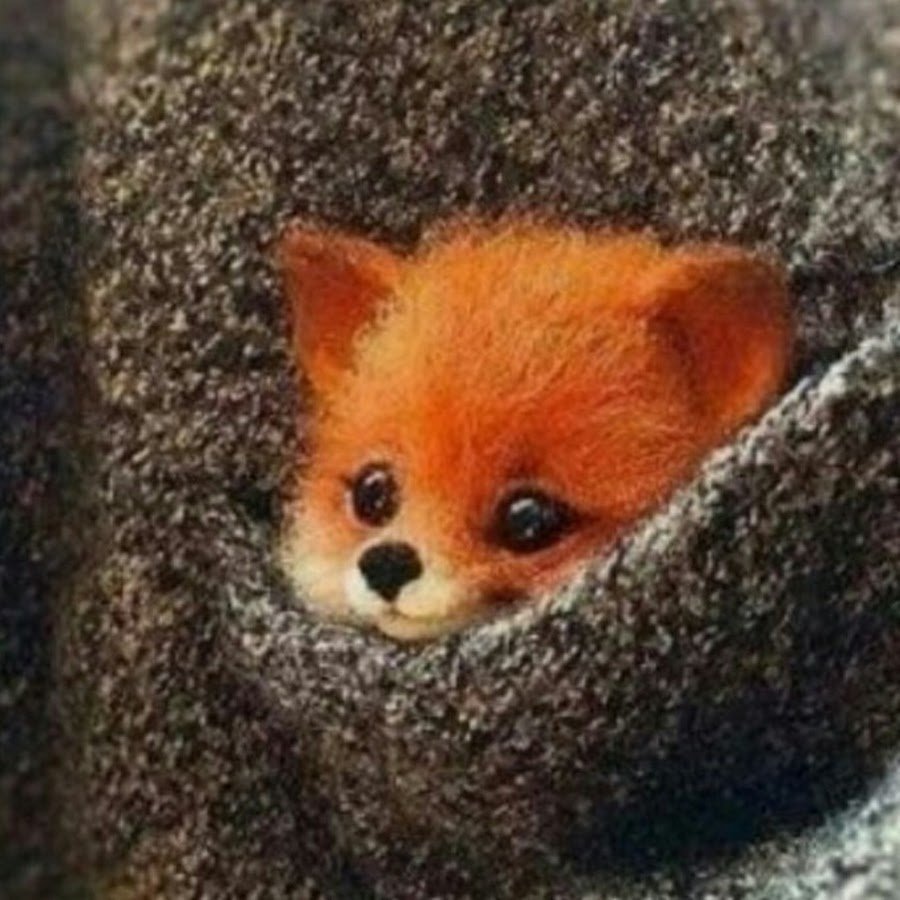 Милый грибочек арт