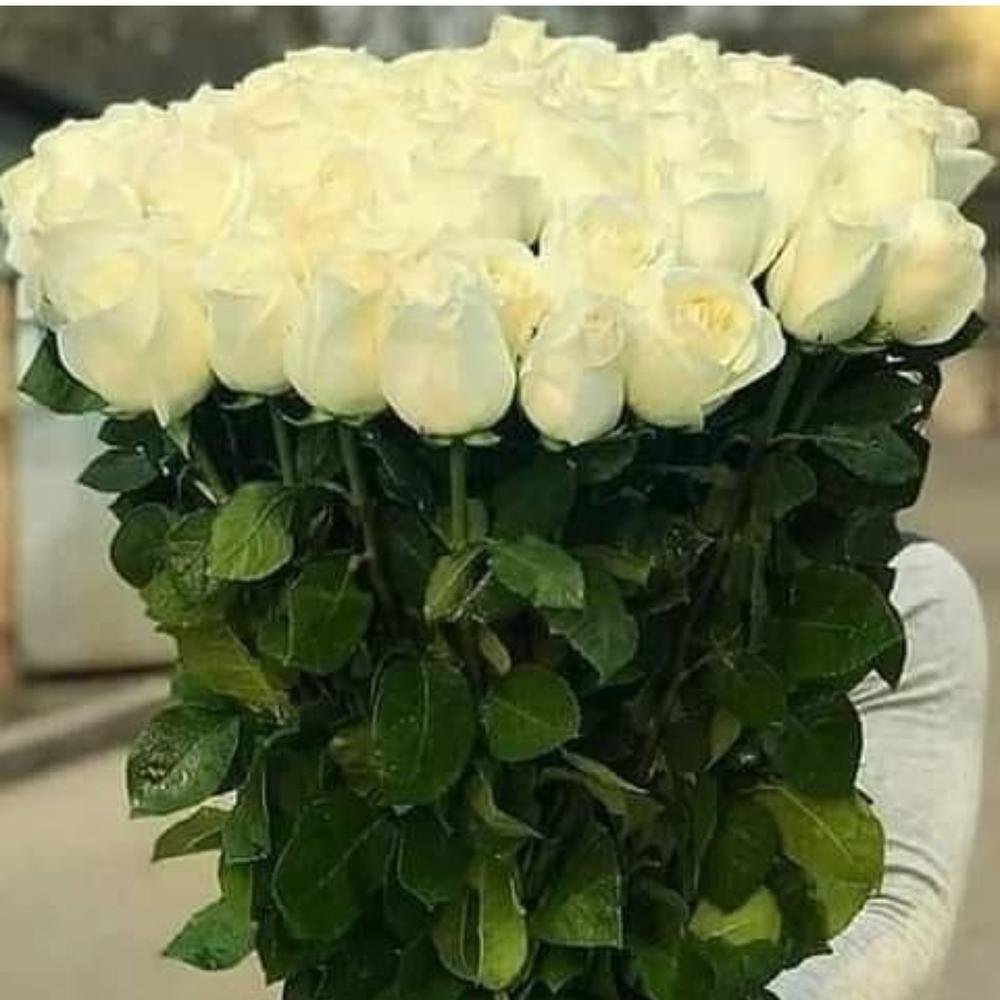 Девушка с тюльпанами