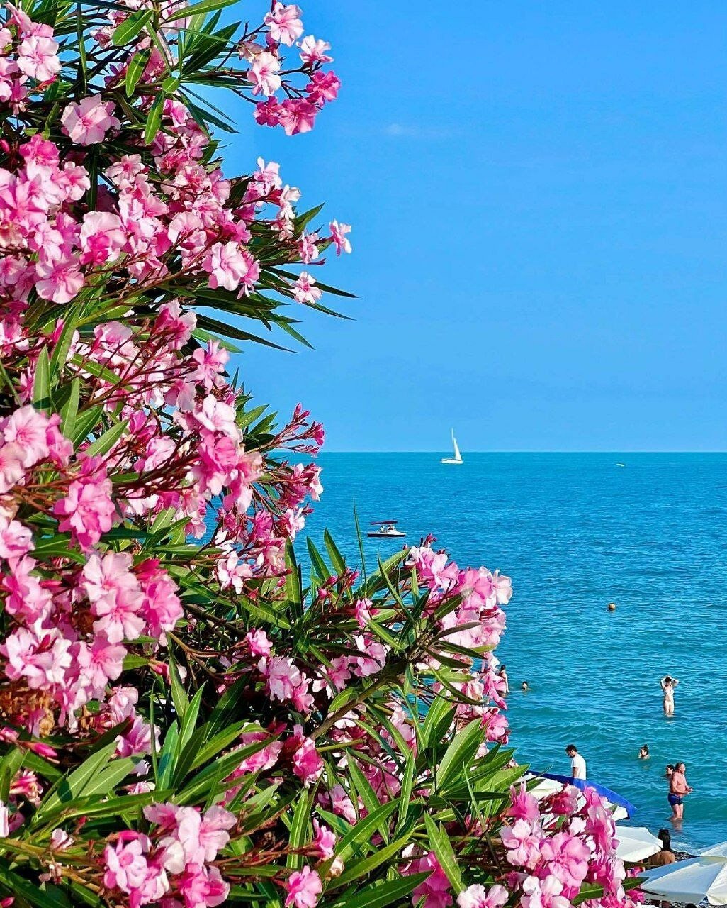 Сочи Инстаграм