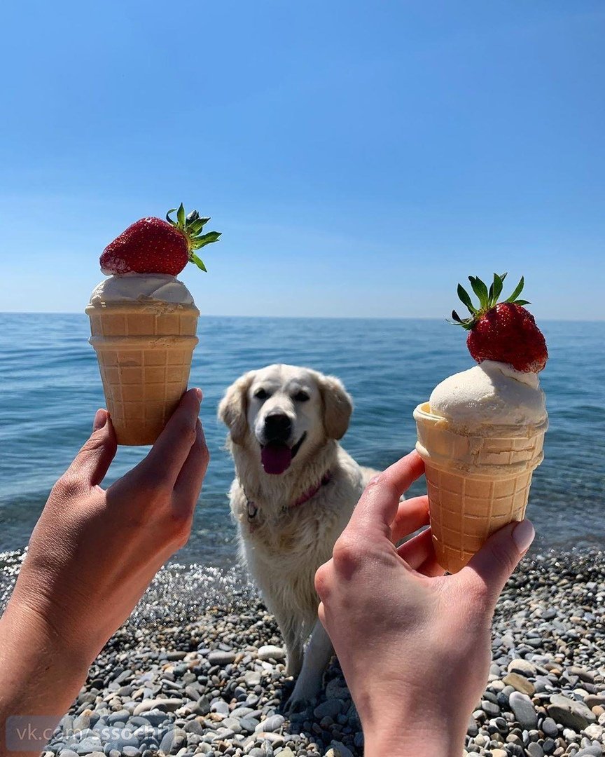 Стикеры доброе утро прикольные