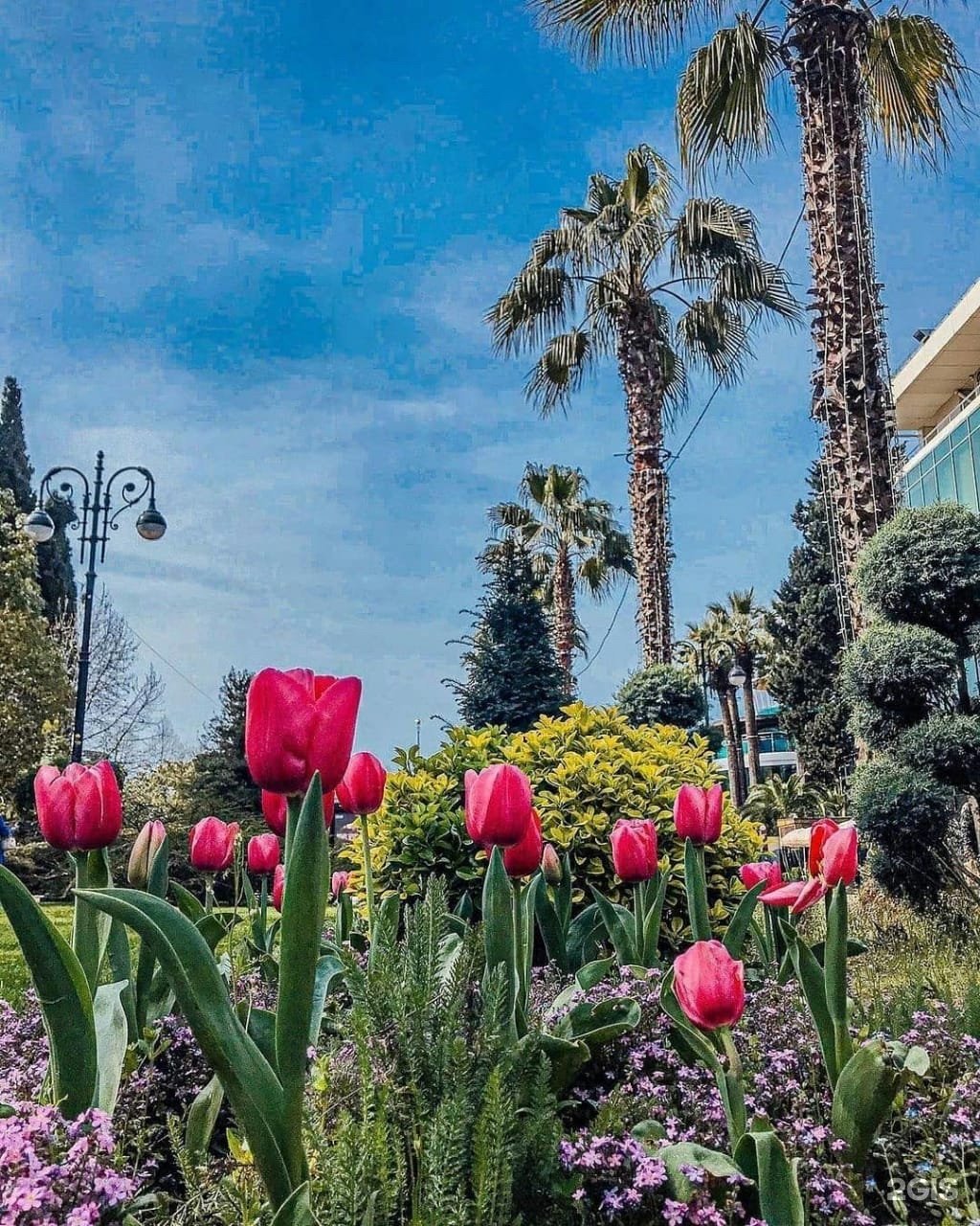 Клубника на берегу моря