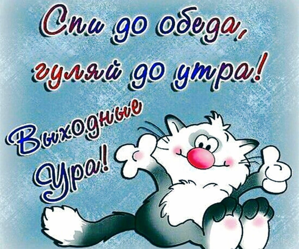 Открытки с добрым утром прикольные