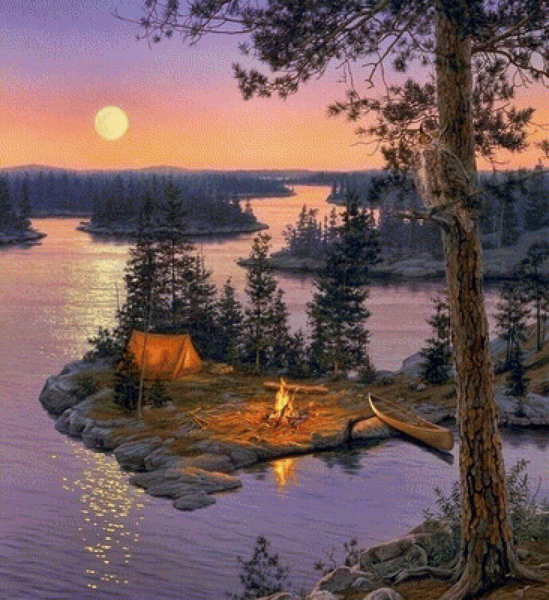 Кувшинки ночью