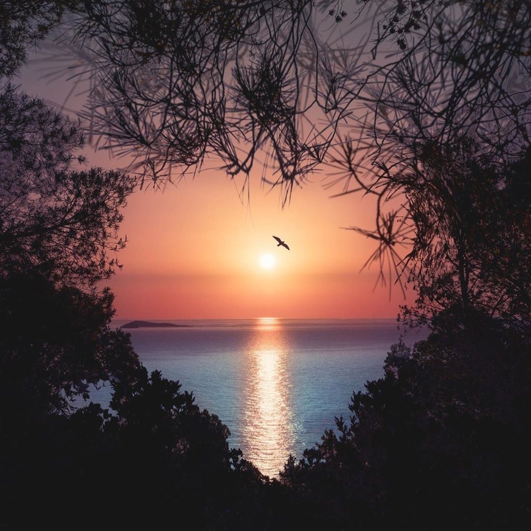 Под лунным светом