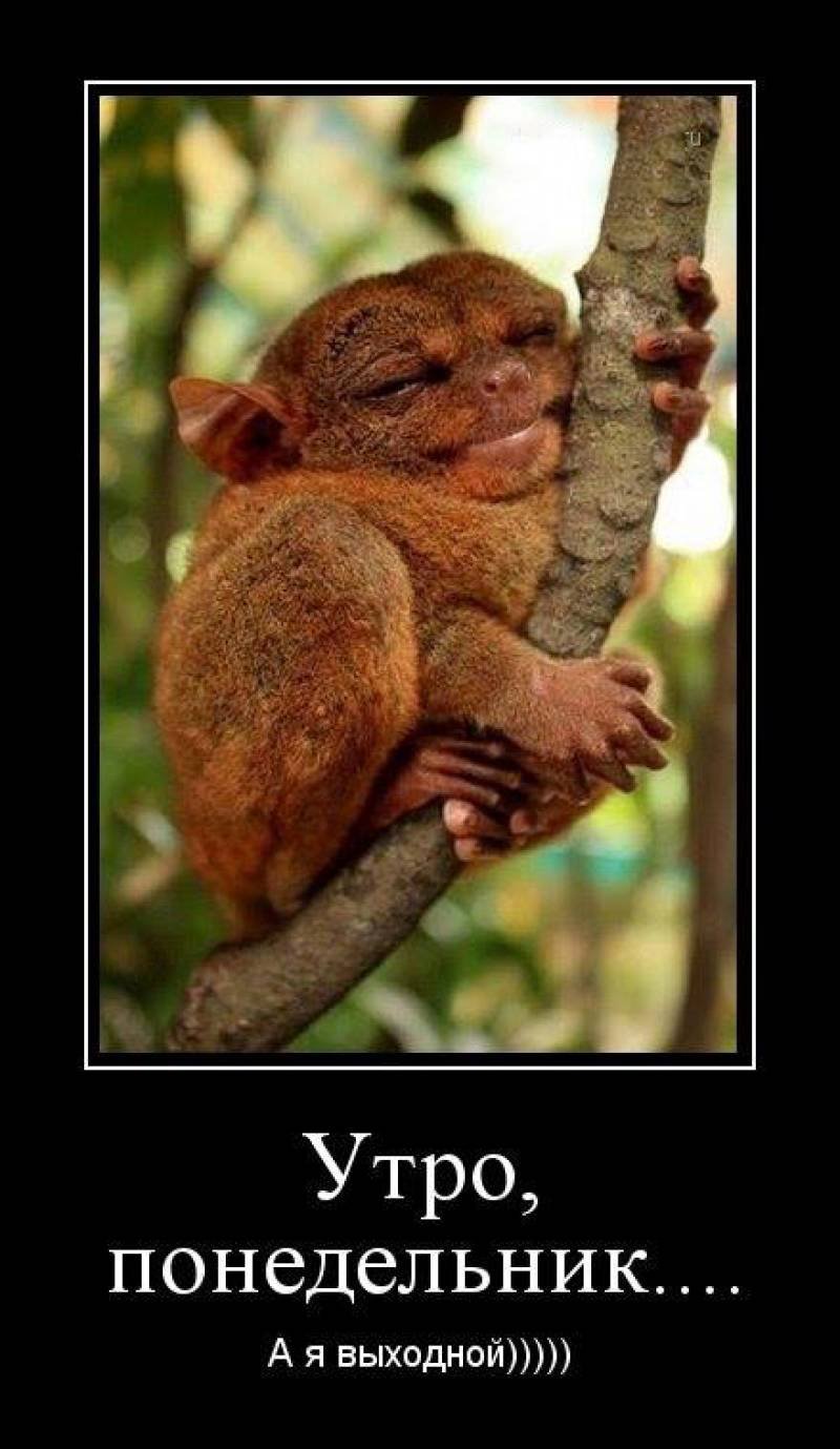 График работы