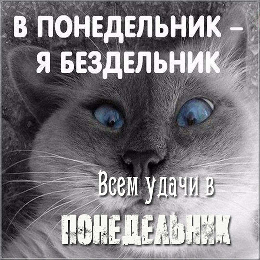 Выходной день картинки