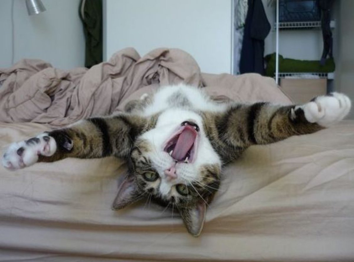 Открытки опять понедельник