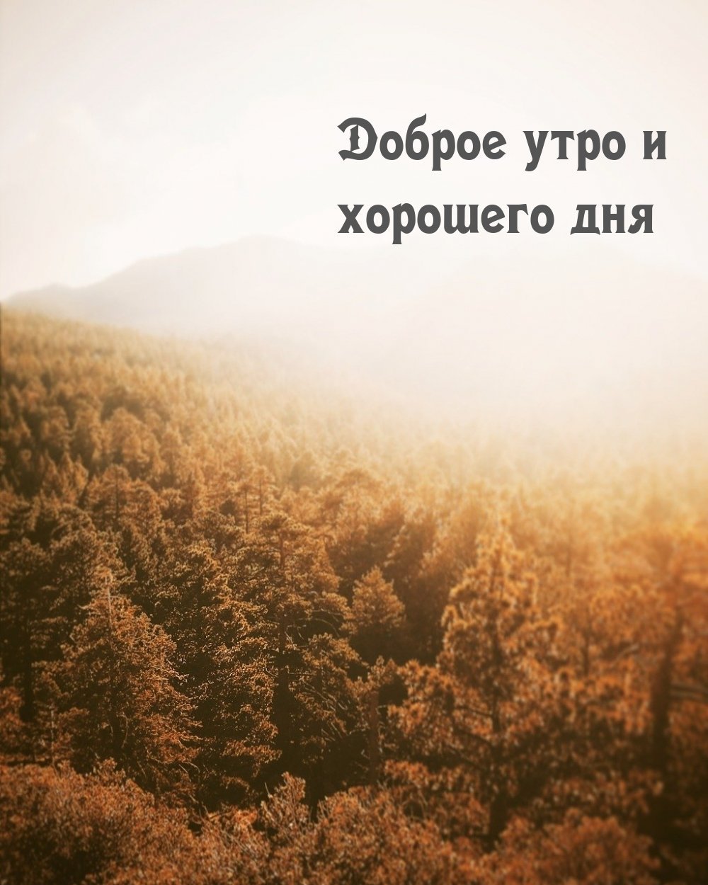 Цитаты с добрым утром прикольные