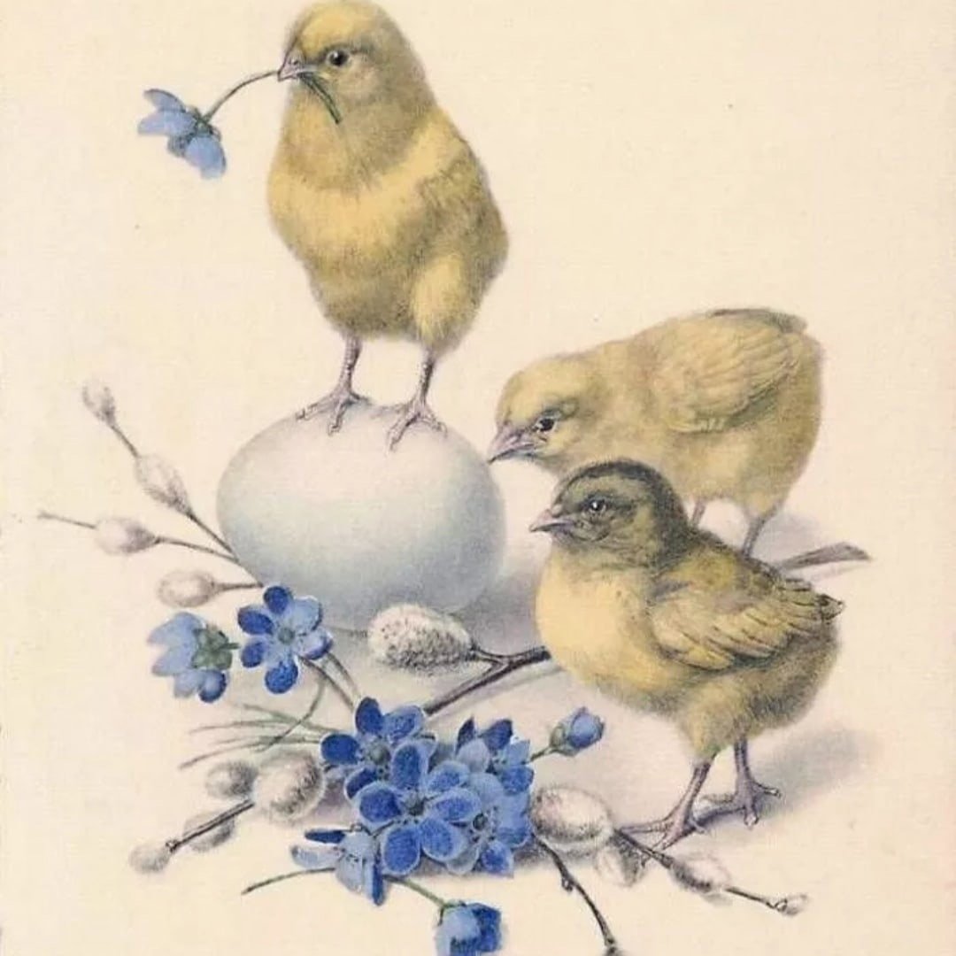 Цыплята для декупажа