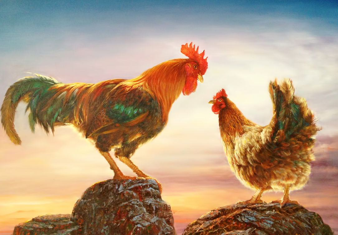 Курица и петух