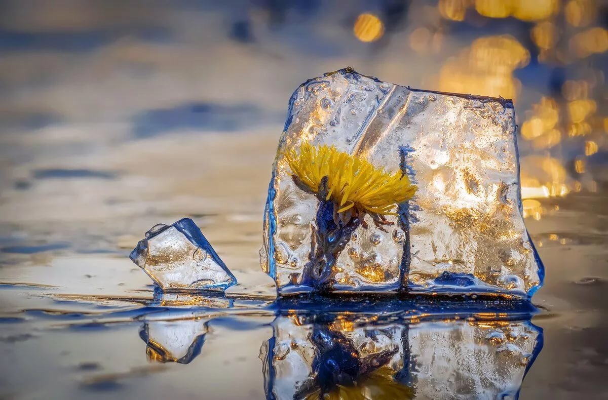 Весна лужи солнце