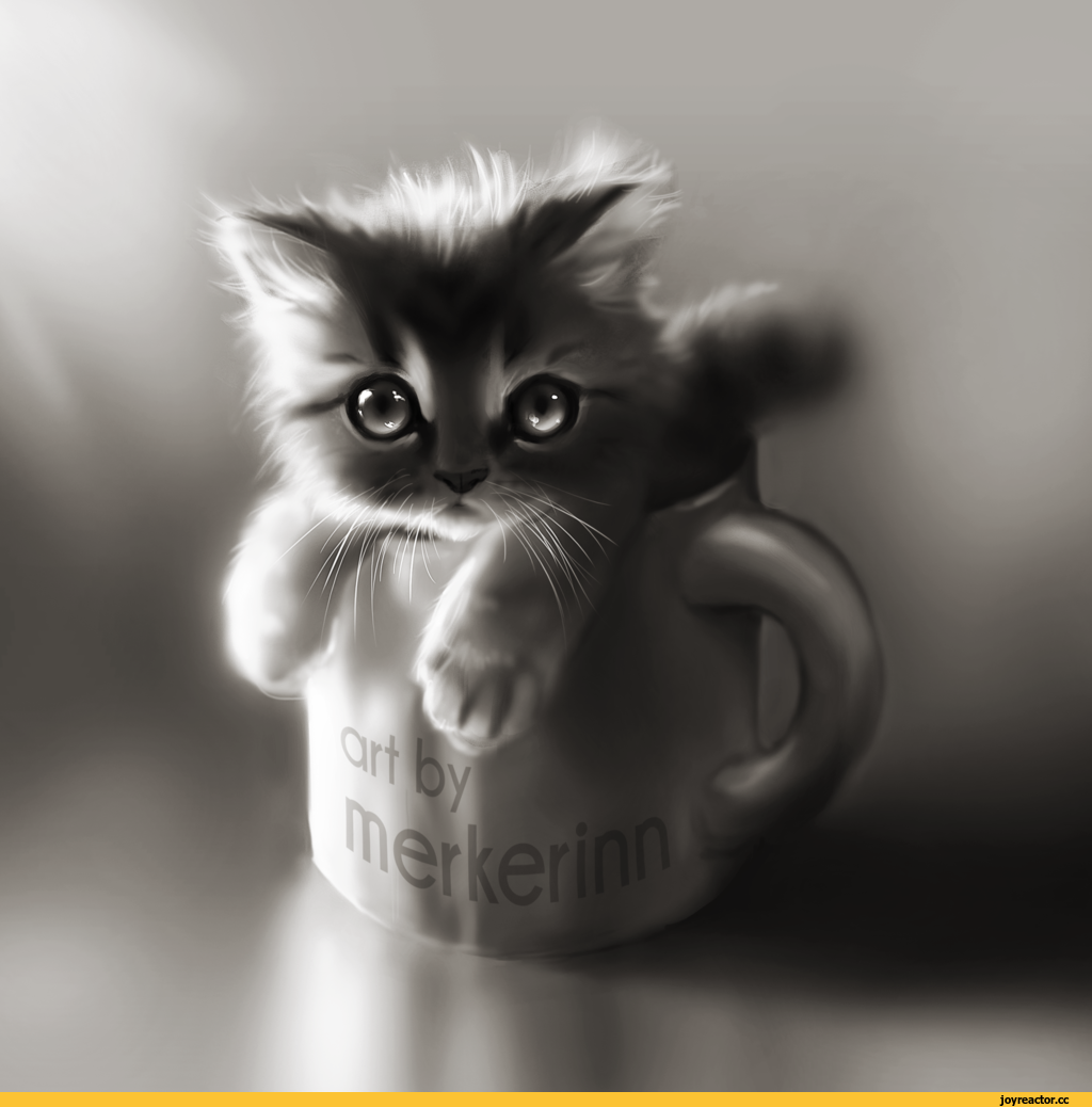 Аватарки с котиками