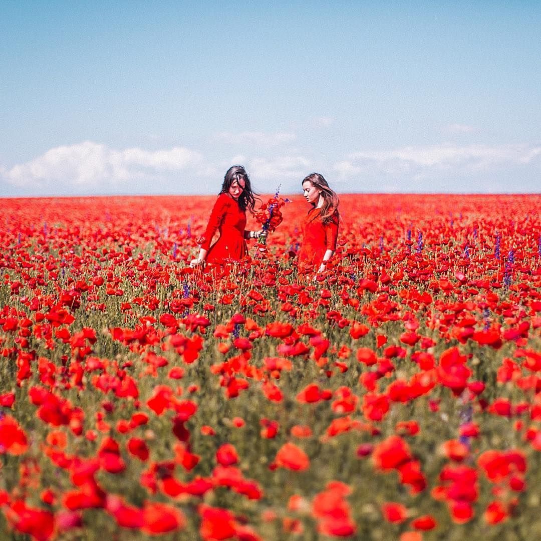 Маковое поле Ахурик