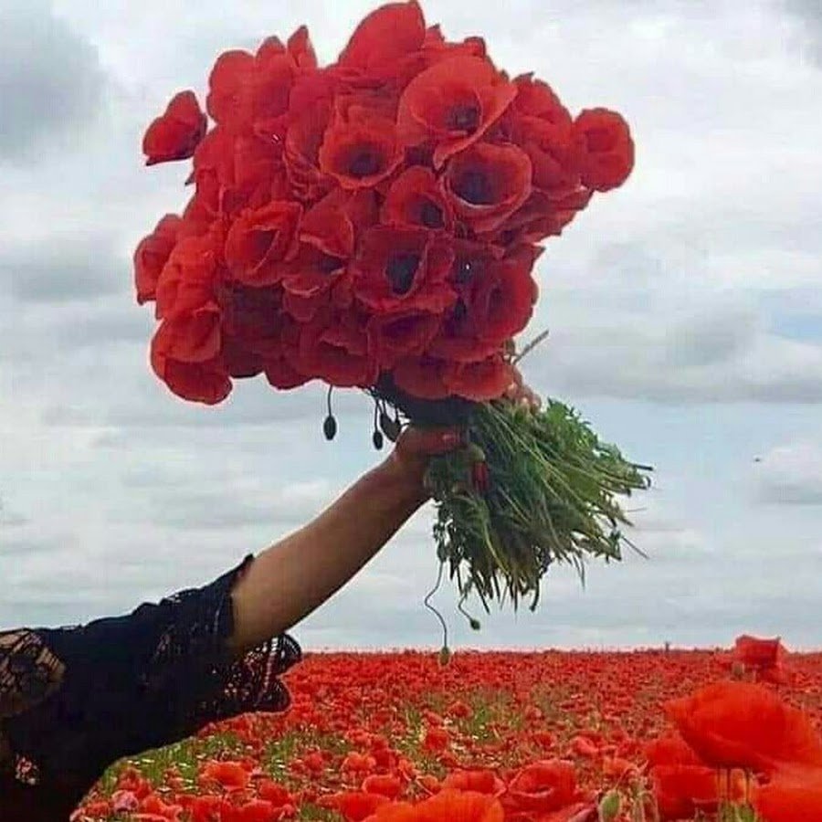 Букет цветов с маками