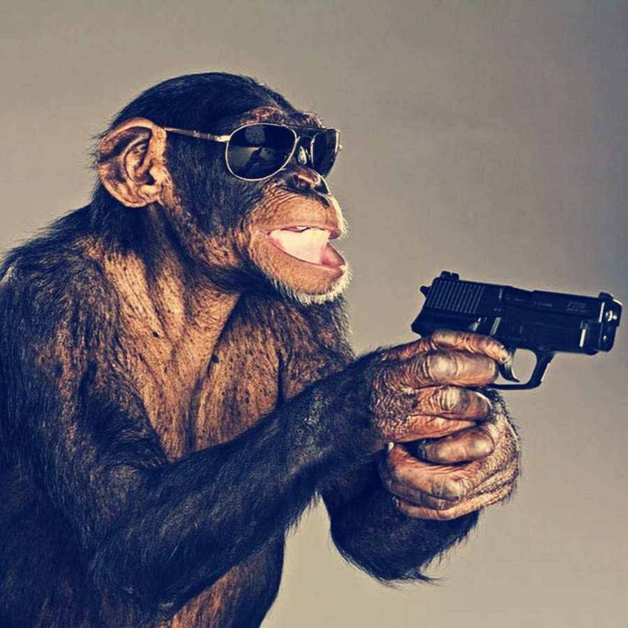 Обезьяна с бантиком