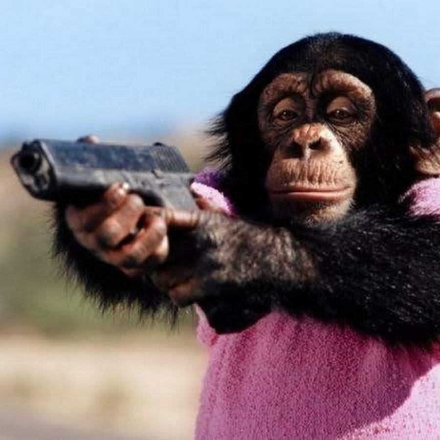 Три Мудрые обезьяны