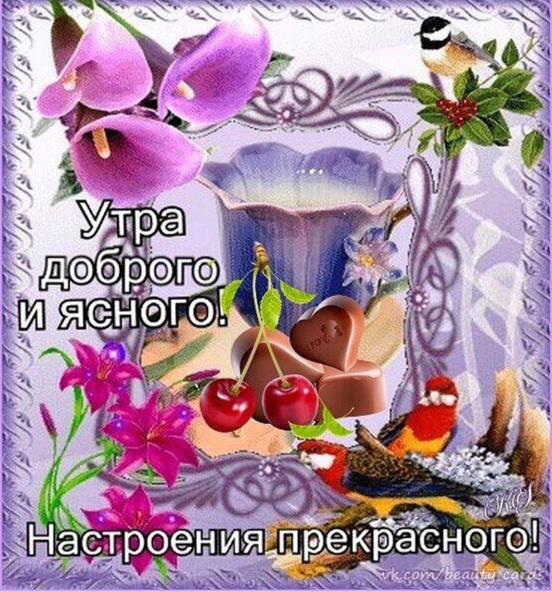 Доброго утра прекра ного дня