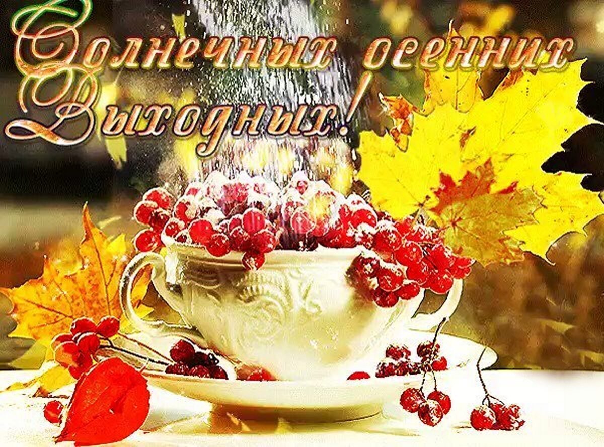 Хорошего воскресного денечка и отличного настроения