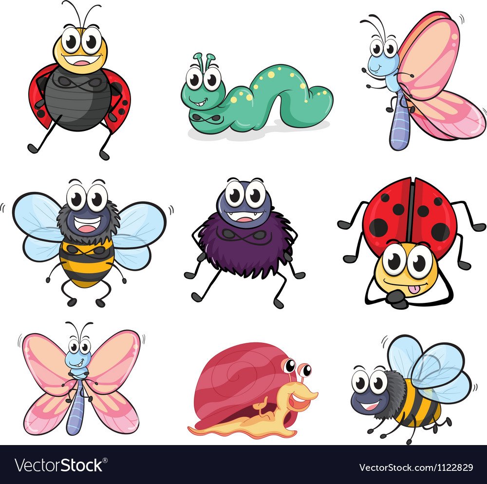 Насекомые для печати