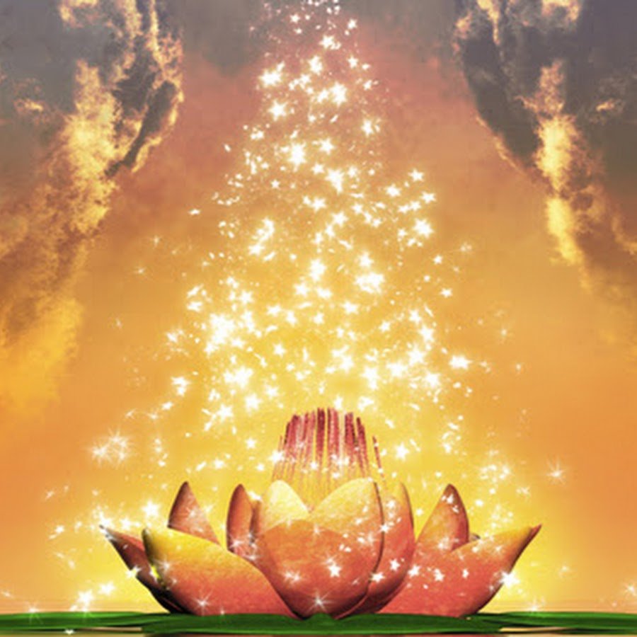 Вселенское изобилие