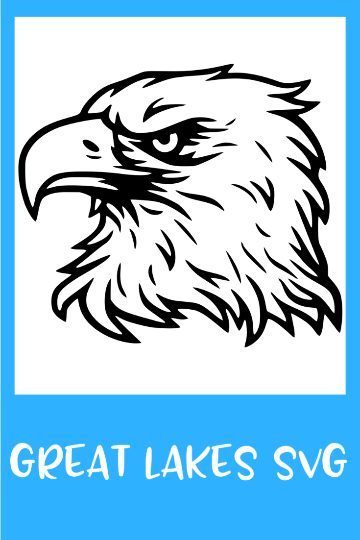 Контур головы орла