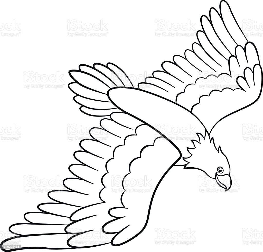 Орел в небе раскраска