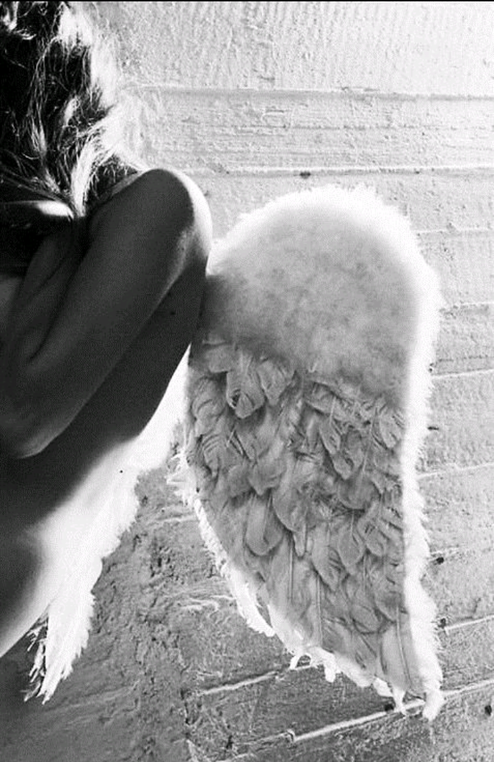 Арсений Попов ангел