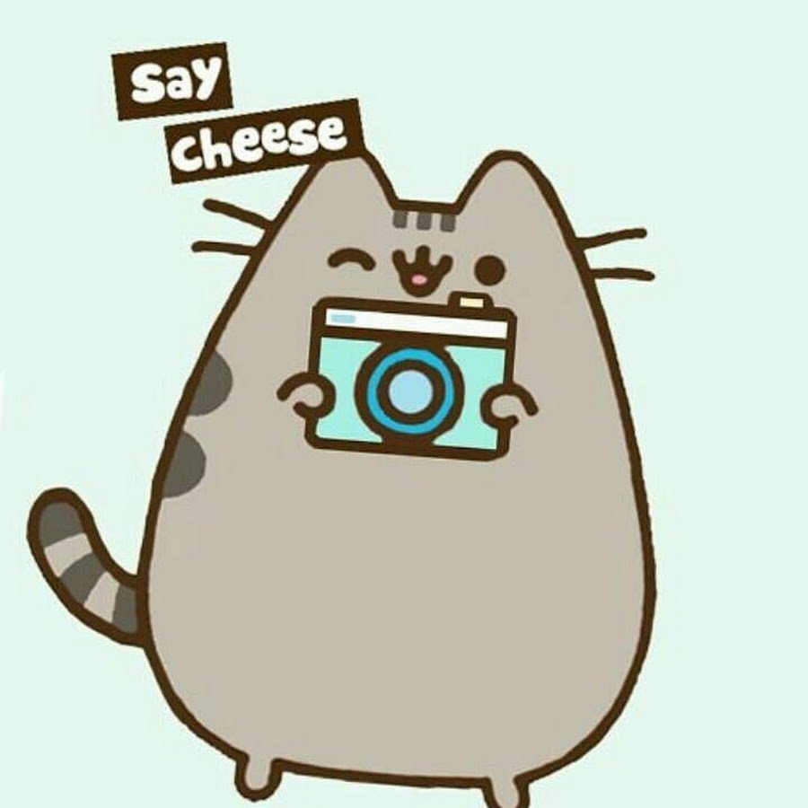 Кот Пушин Кэт