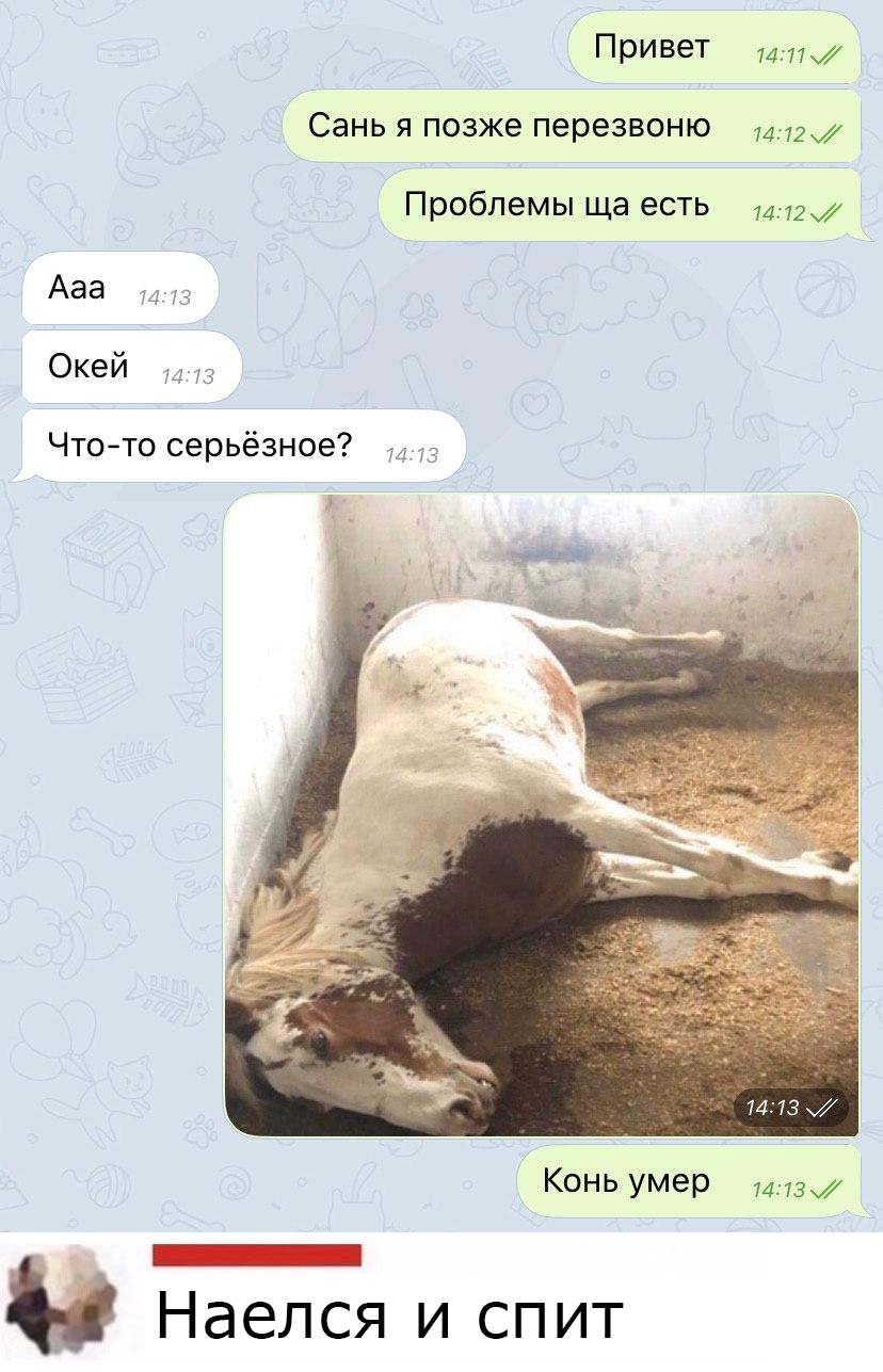 Смешные комменты до слез