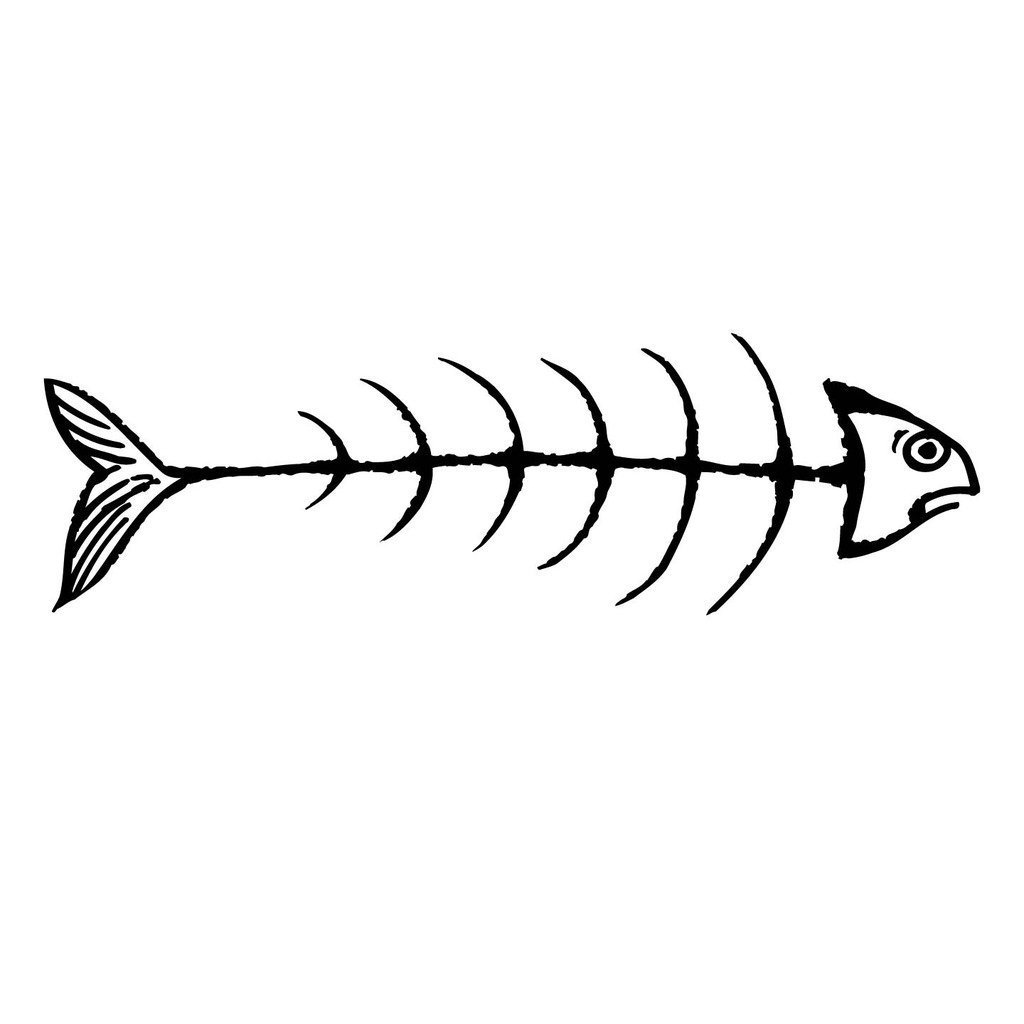 Скелет рыбы дорадо