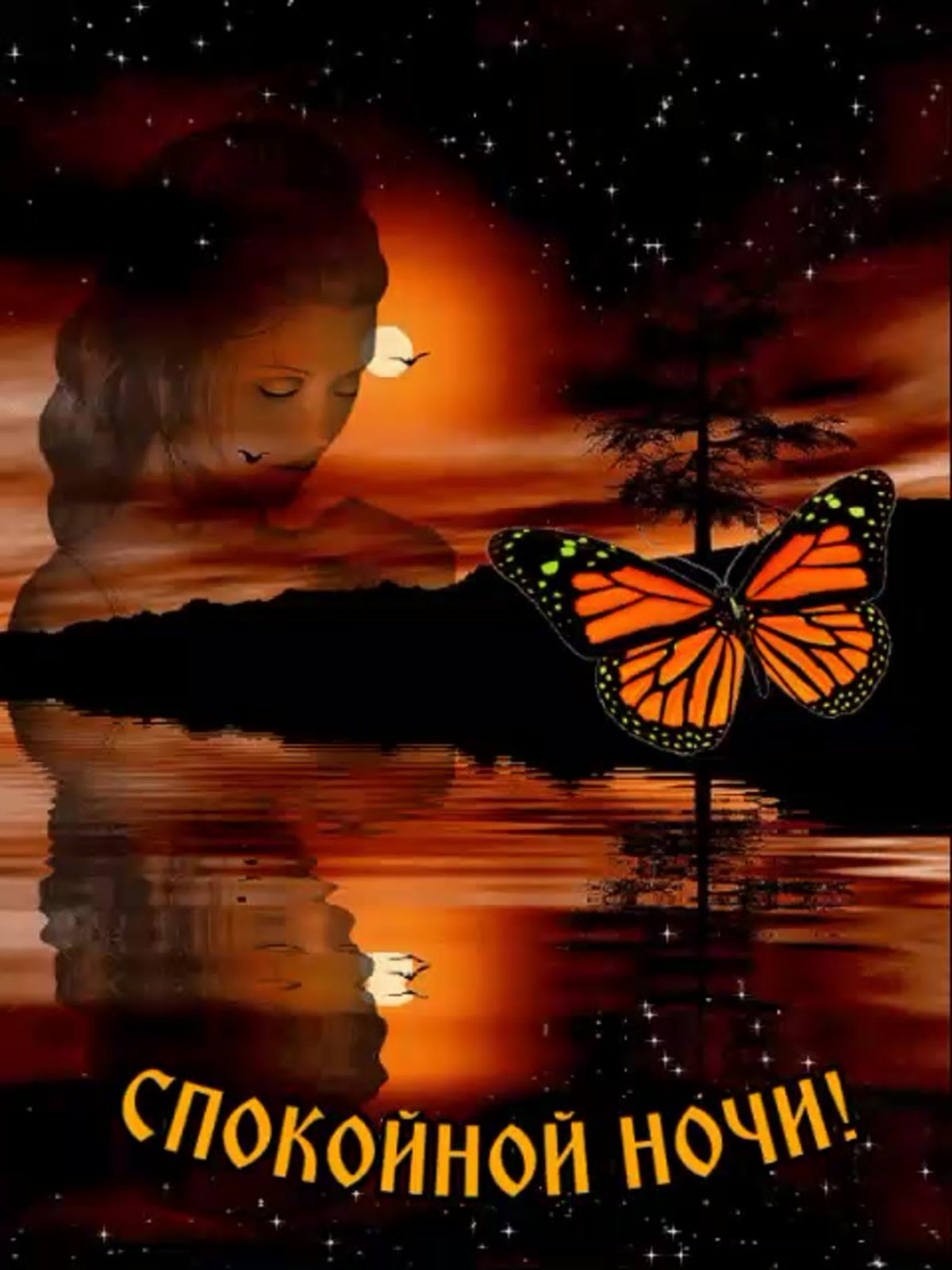 Спокойнойночки мужчине