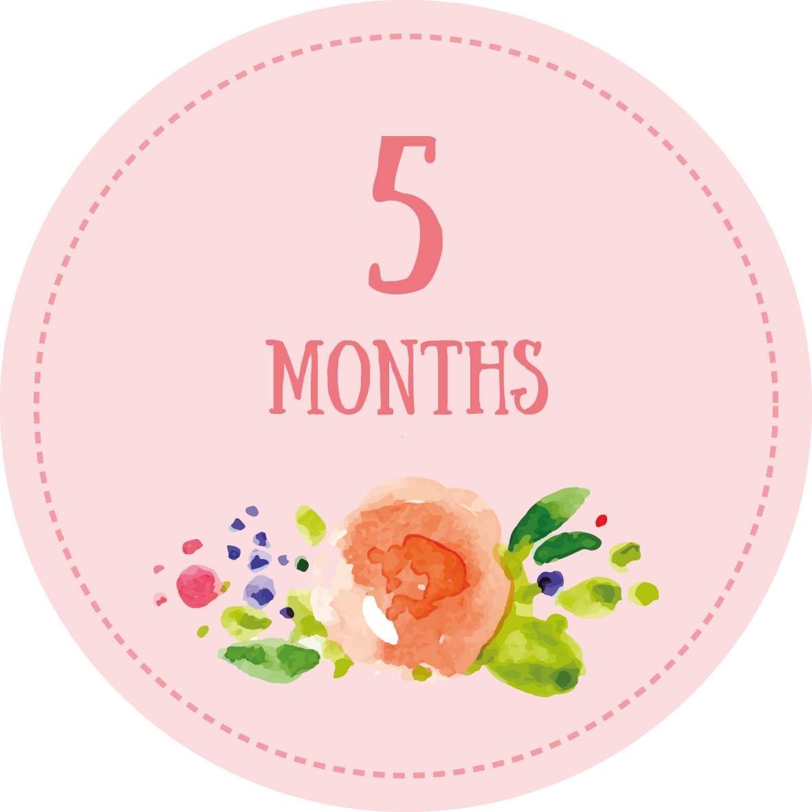 Поздравление с рождением правнучки