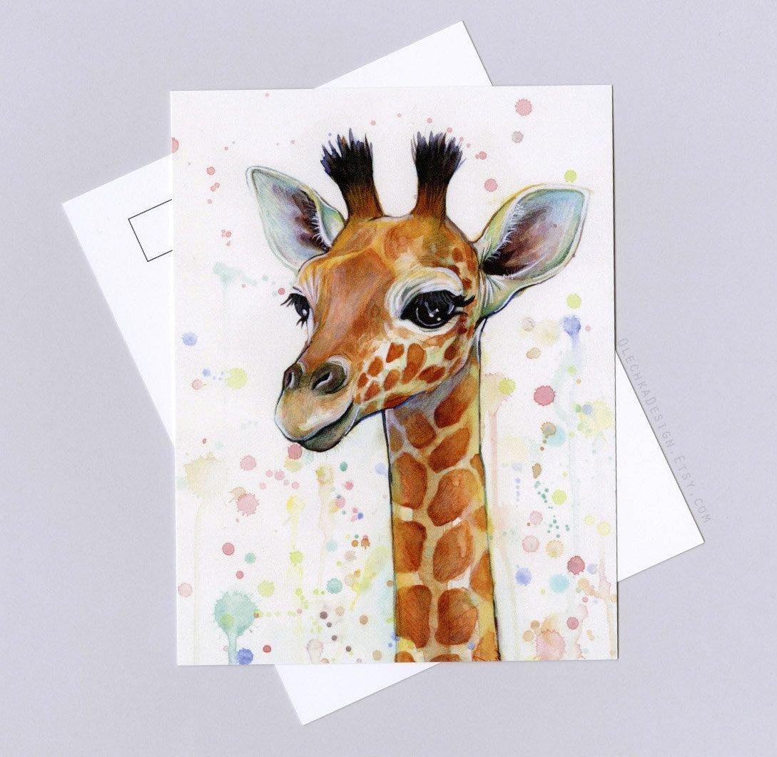 Жираф рисунок