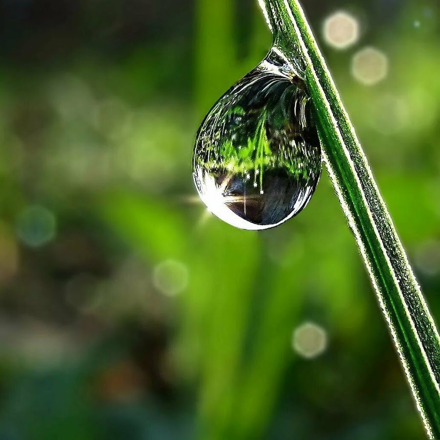 Капля воды