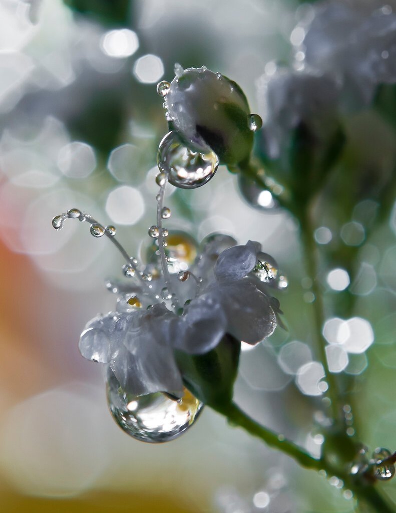 Капля воды картинки