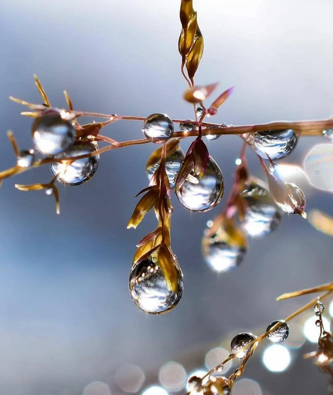 Бирюзовый цвет в природе