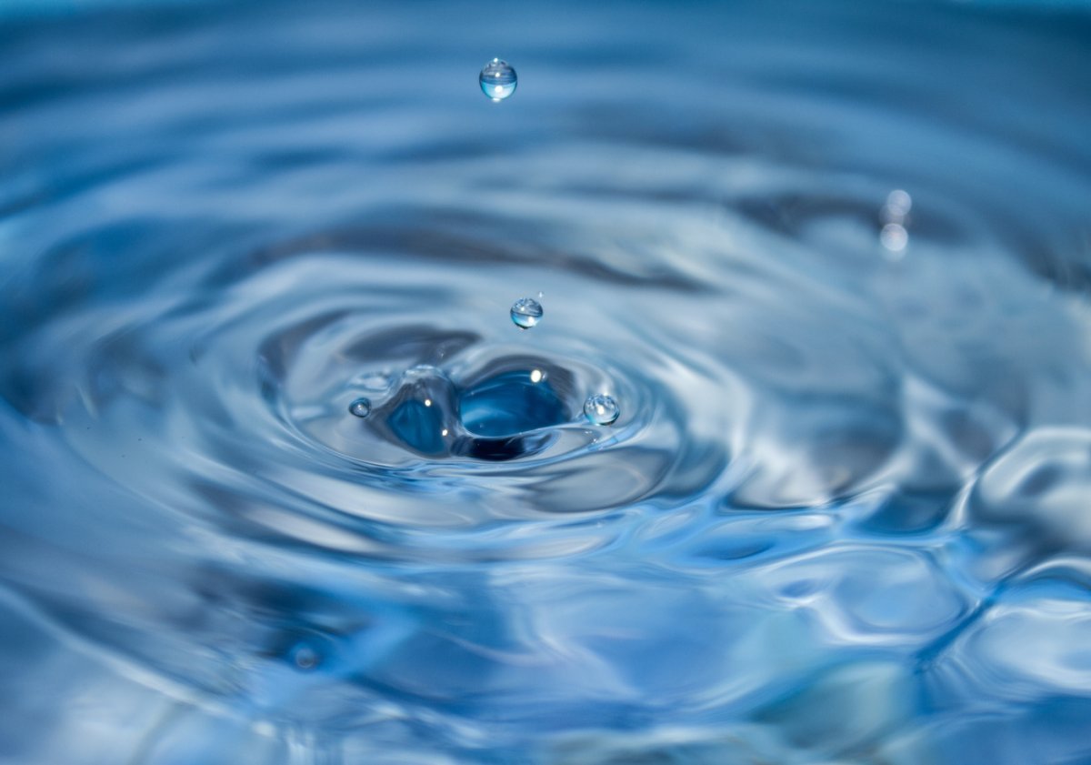 Цветы с капельками воды