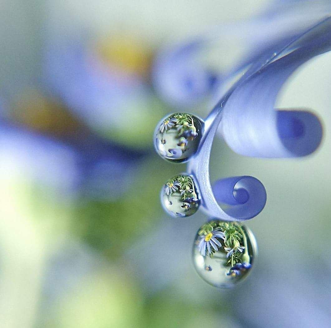 Капля воды крупица золота