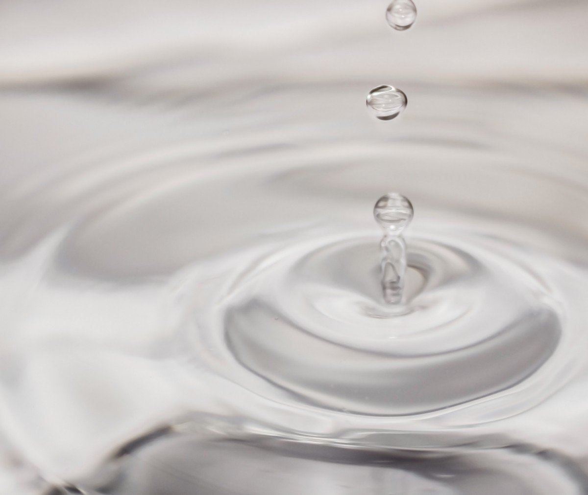 Капельки на веточках