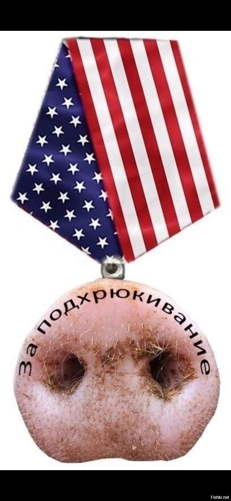 Медаль за подхрюкивание