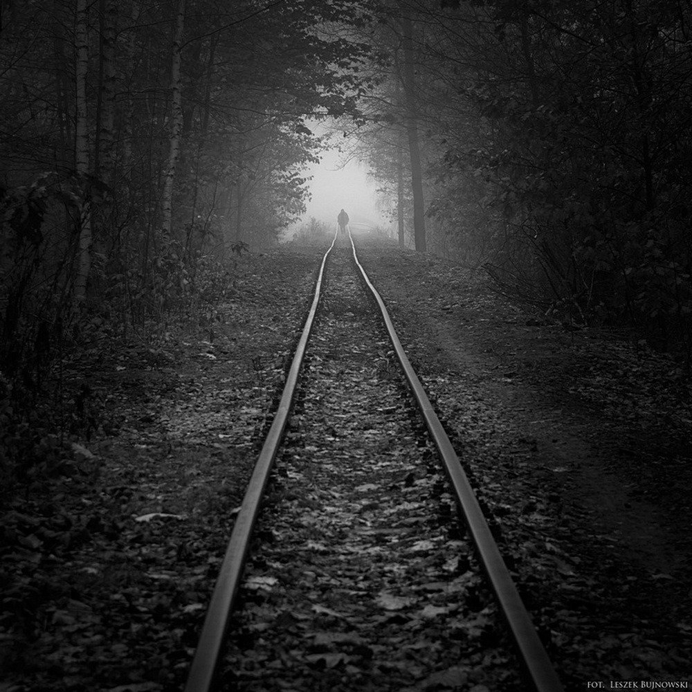 Фотохудожник Leszek Bujnowski