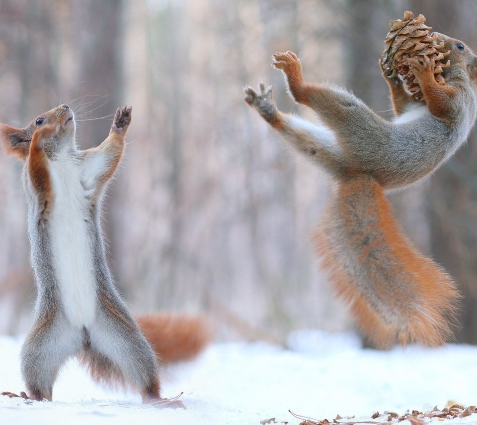 Веселая зима