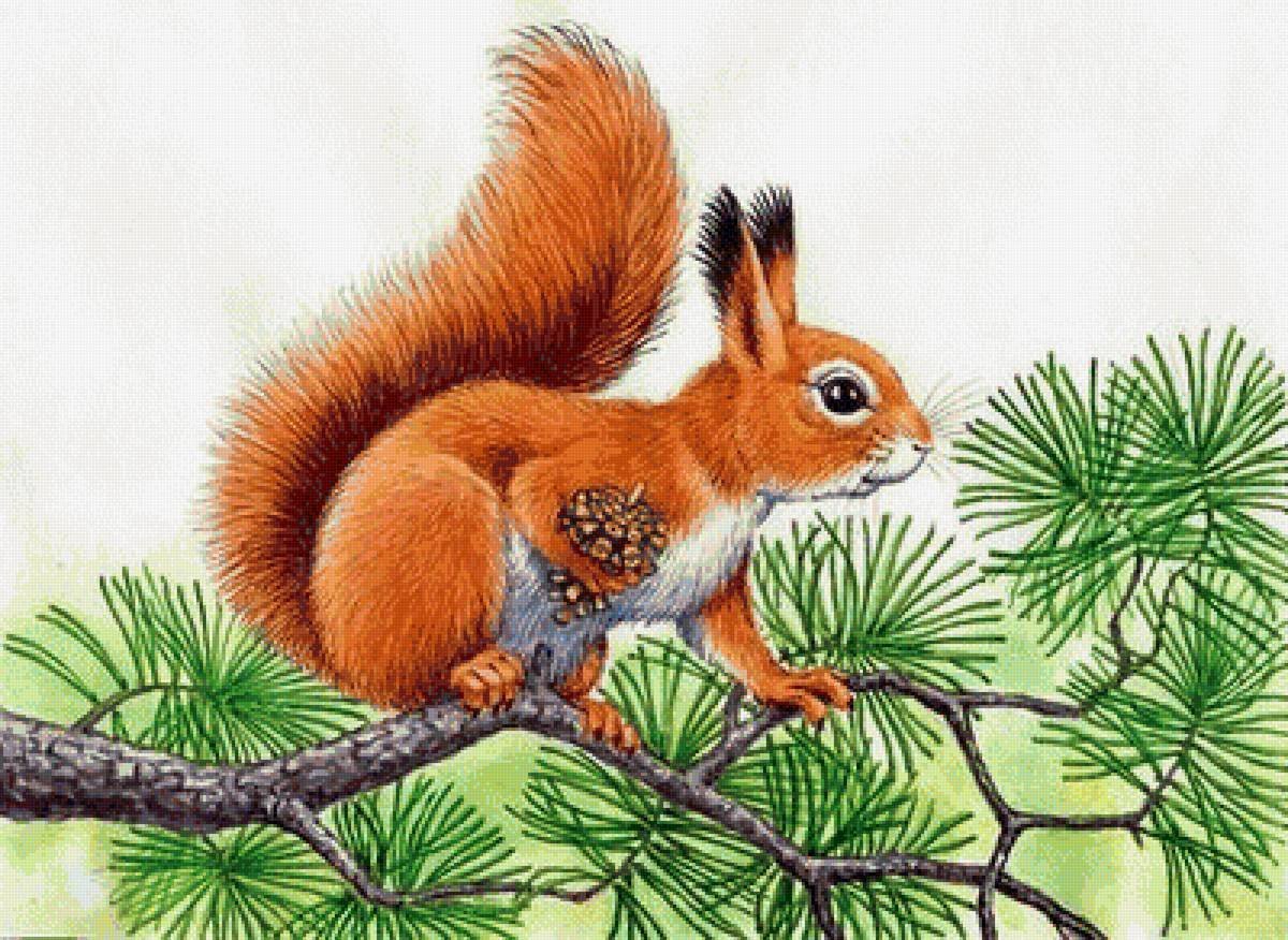 Сказочный зимний лес с белочками