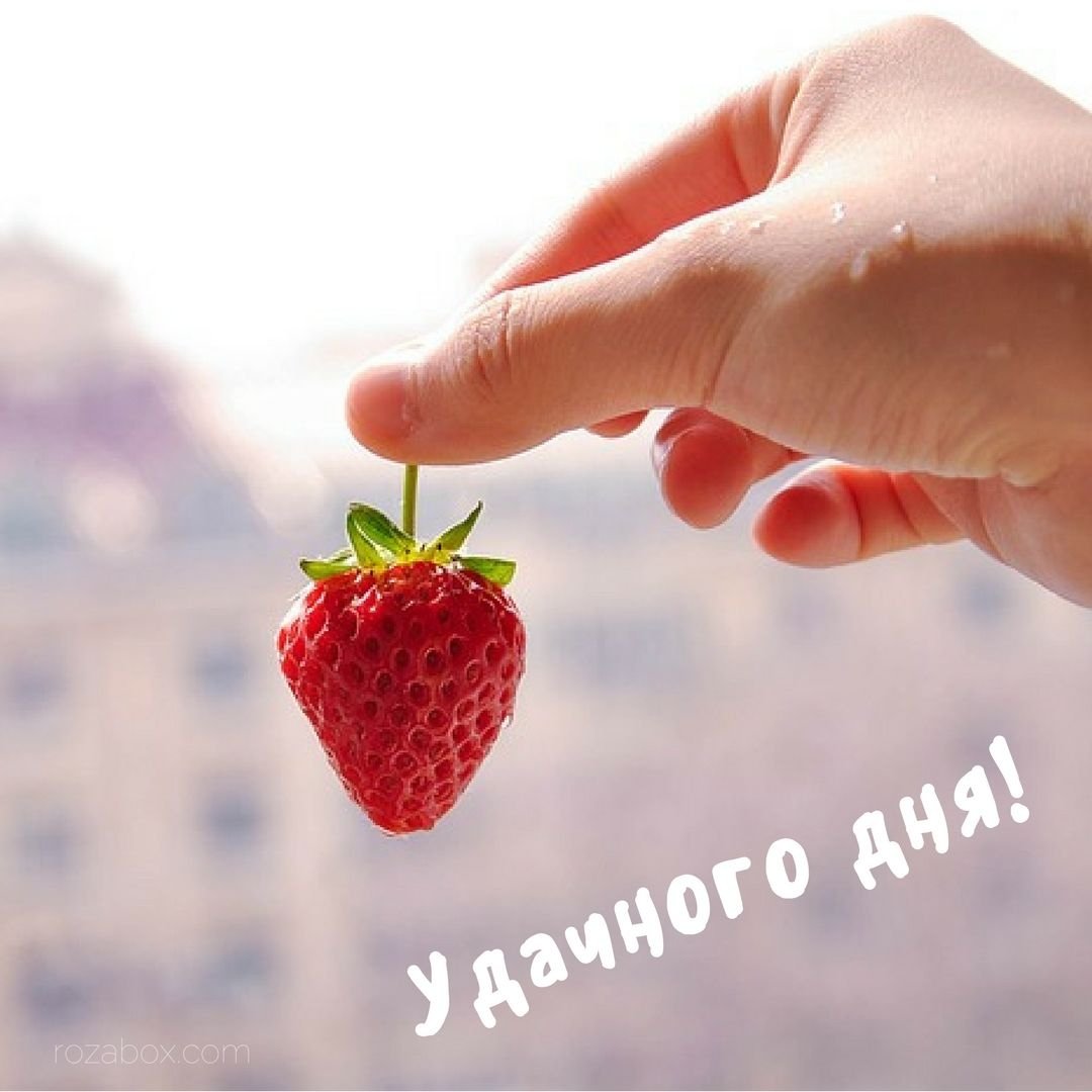 Доброе утро, мир