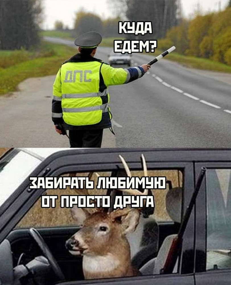 Юмор приколы