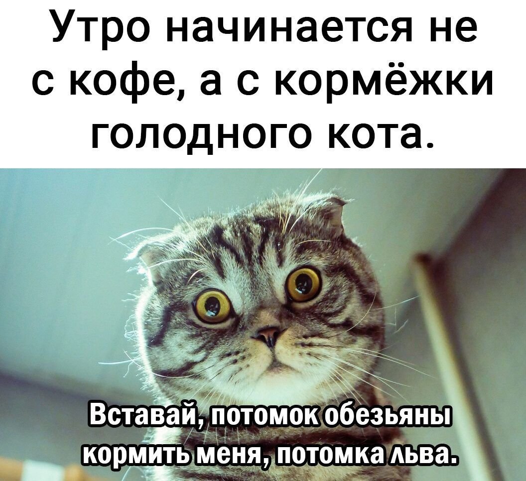 Андрюхин конец Мем