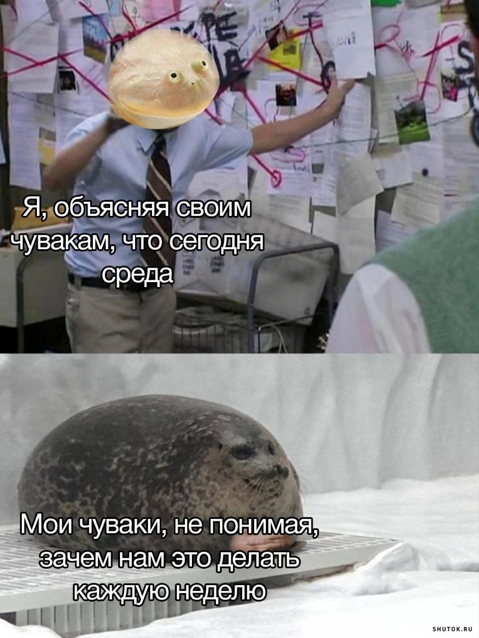 Прикол дня