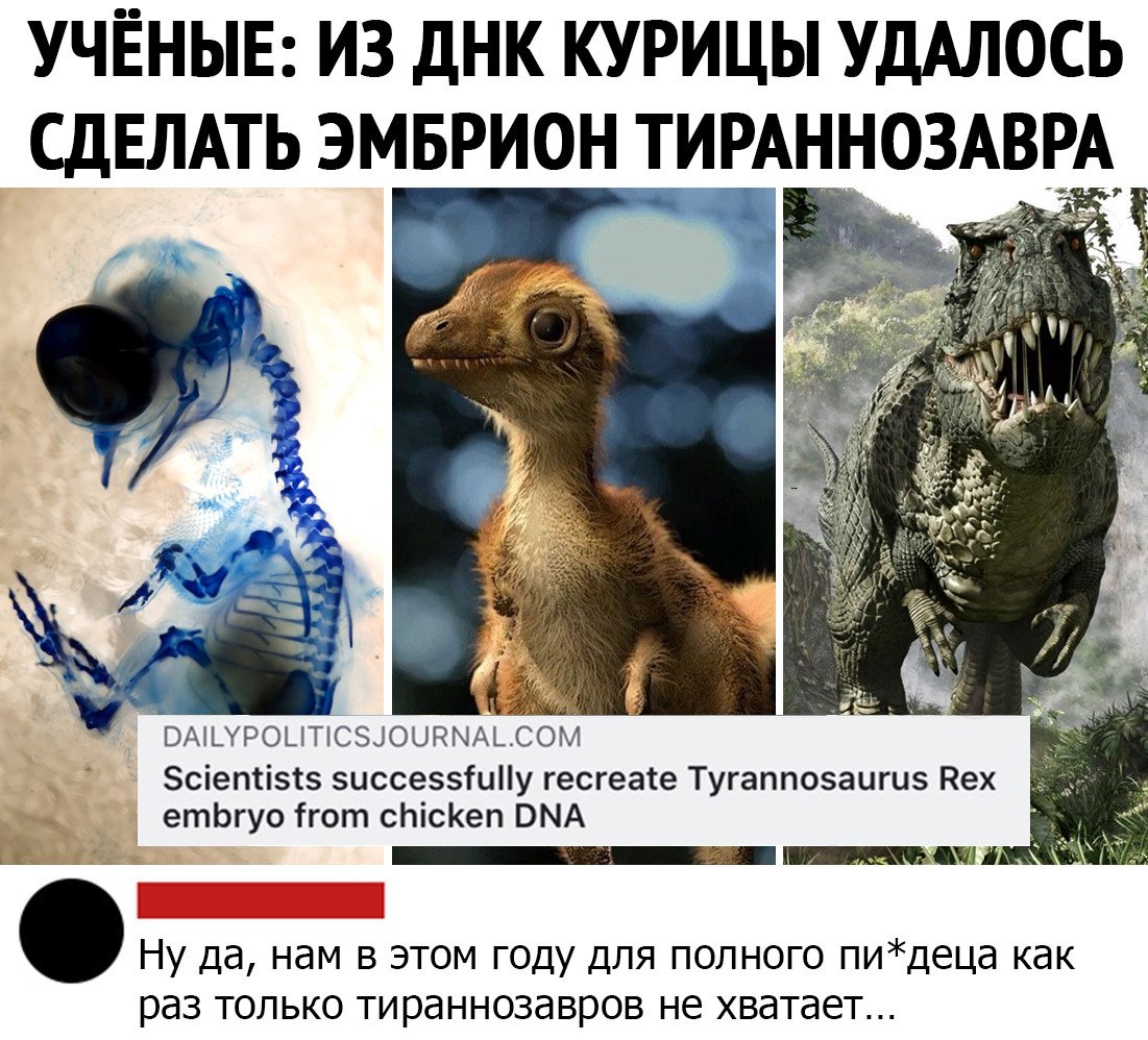 Убойный юмор приколы