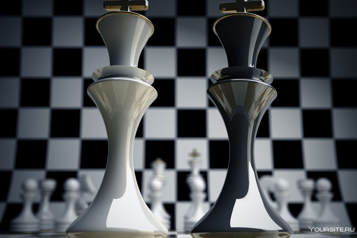 Шахматы фигуры на доске ферзь и Король