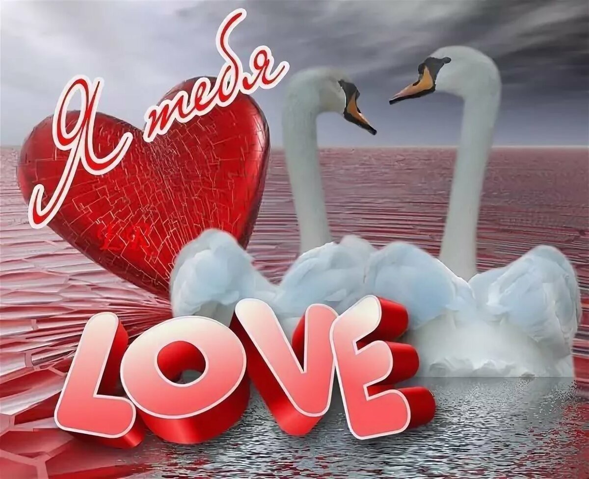 Любимый муж